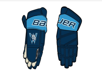 Bauer Team Vapor Elite Glove WYH